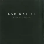 CAL011_C_31lp_front.webp