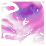 DE249_front.webp