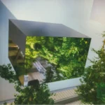 VEYL022_front.webp